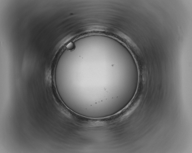 X0000116151113200911231326