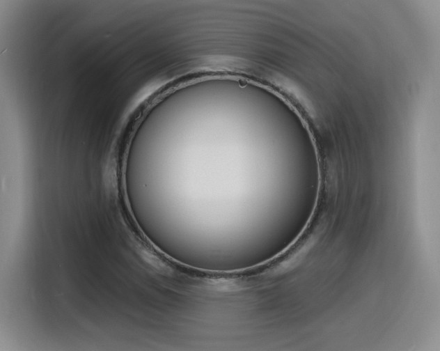 X0000116151114200911231326