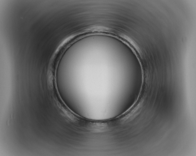 X0000116151115200911231326