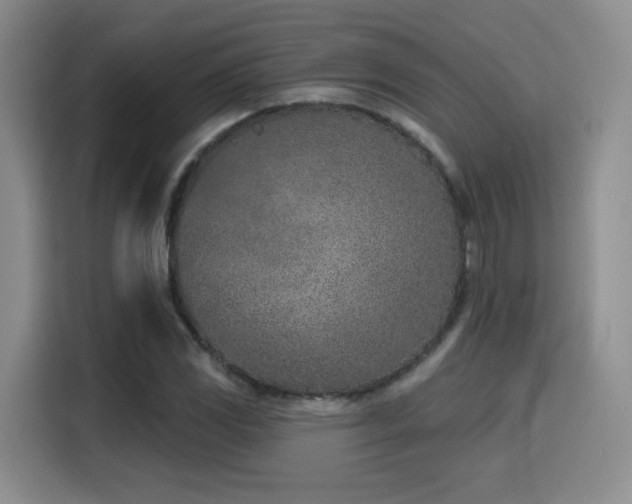 X0000116151117200911231326