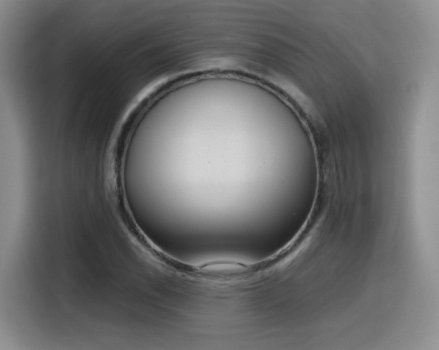 X0000116151118200911231326