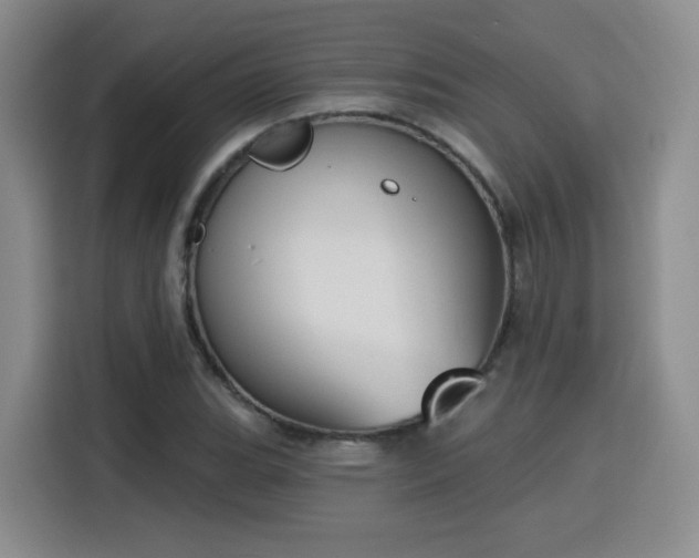 X0000116151119200911231326