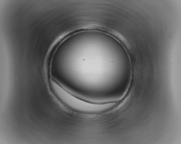 X0000116151122200911231326