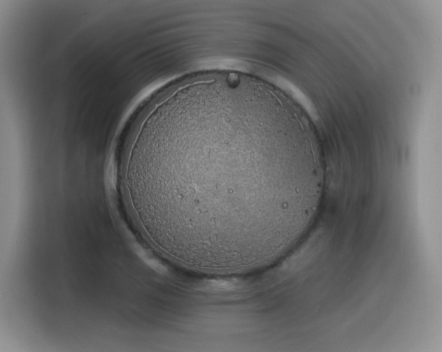 X0000116151125200911231326