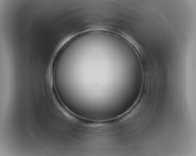 X0000116151127200911231326