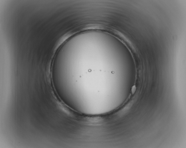 X0000116151129200911231326