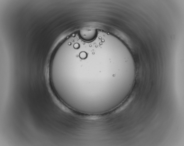 X0000116151130200911231326