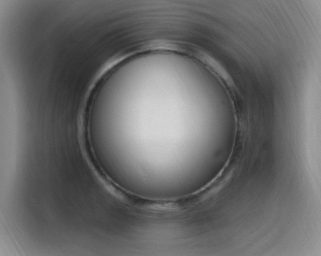 X0000116151133200911231326