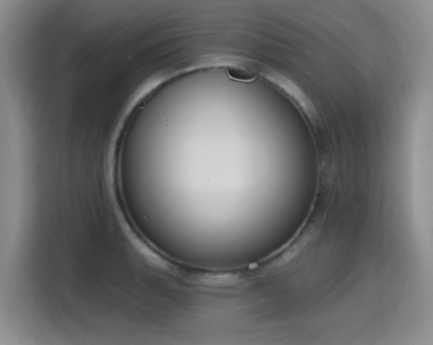 X0000116151135200911231326