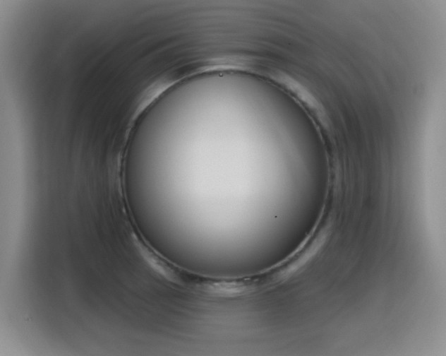 X0000116151137200911231326