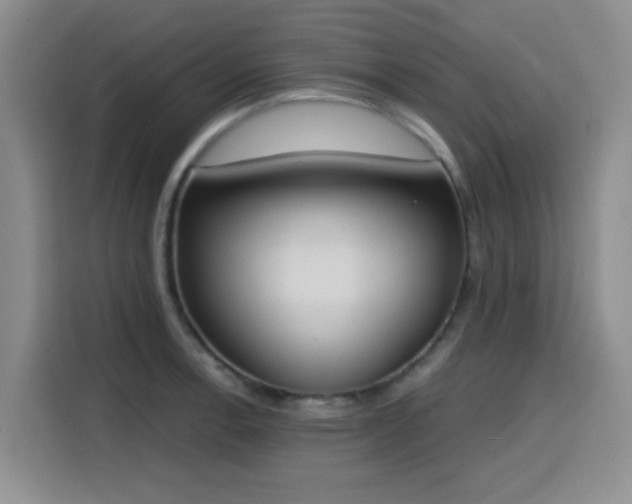 X0000116151138200911231326