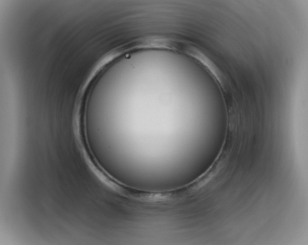 X0000116151139200911231326