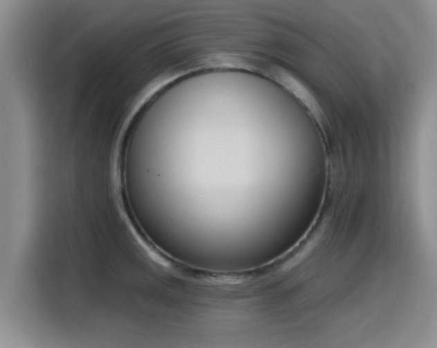 X0000116151141200911231326