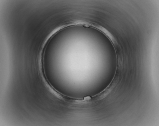 X0000116151142200911231326