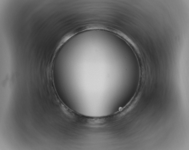 X0000116151145200911231326