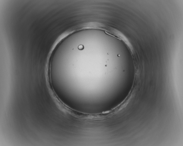 X0000116151146200911231326