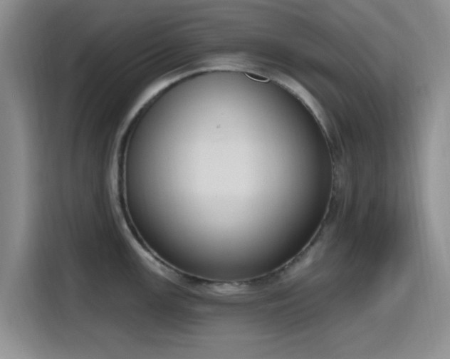 X0000116151147200911231326