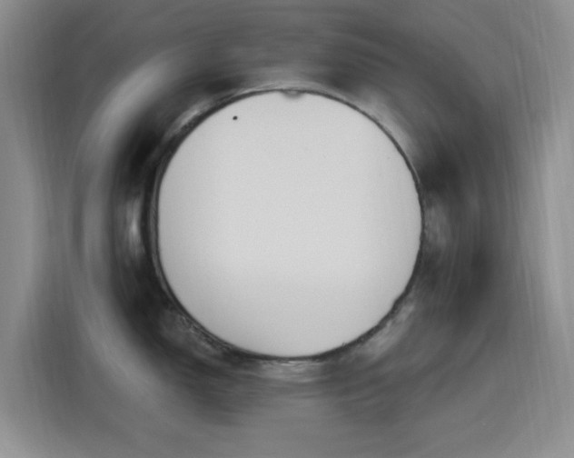 X0000116151150200911231326