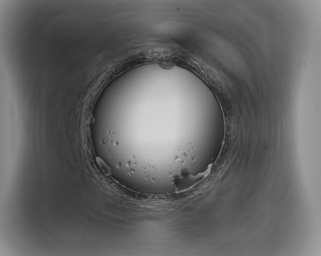 X0000116151153200911231325