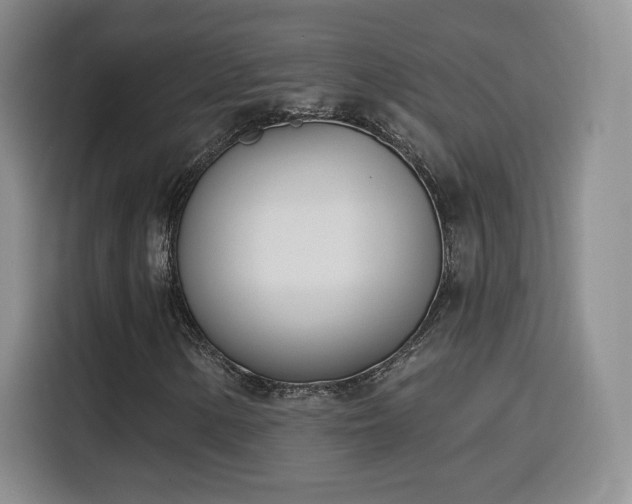 X0000116151154200911231325