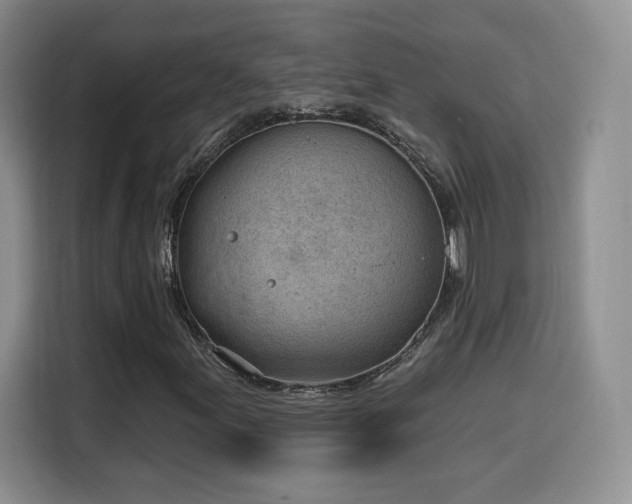 X0000116151155200911231325