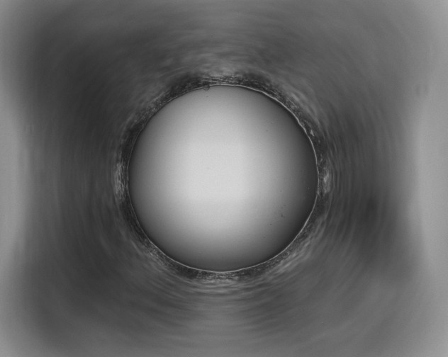 X0000116151156200911231325