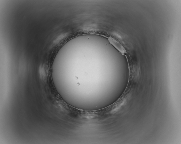 X0000116151157200911231325