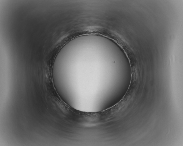 X0000116151158200911231325