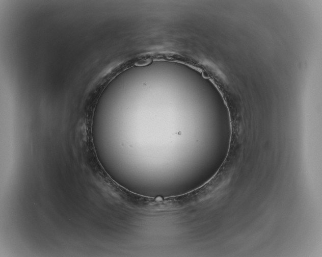 X0000116151159200911231325