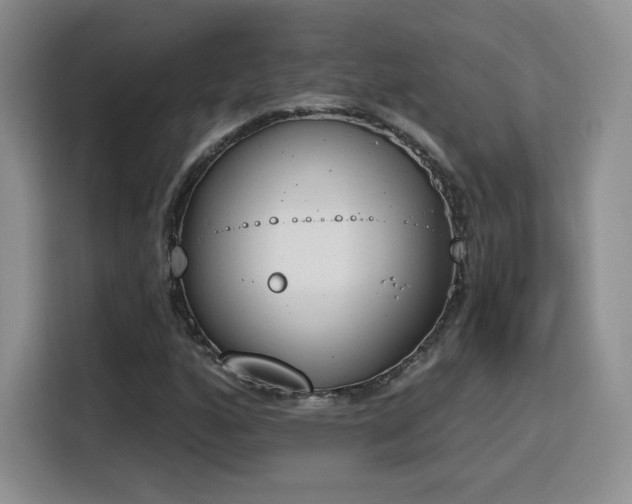 X0000116151160200911231325