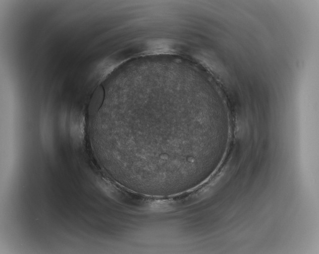 X0000116151161200911231325