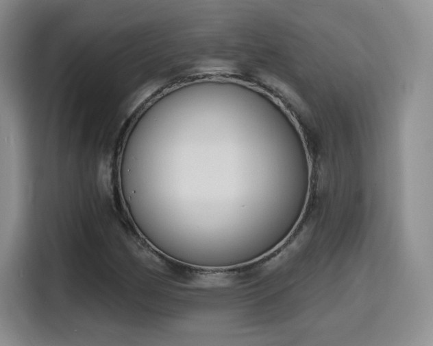 X0000116151162200911231325