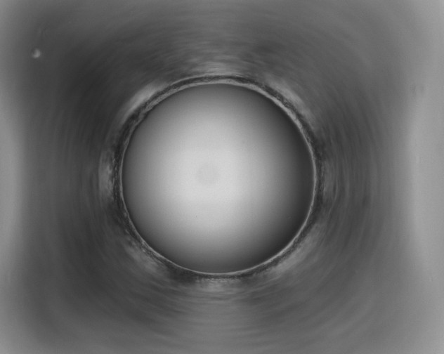 X0000116151163200911231325