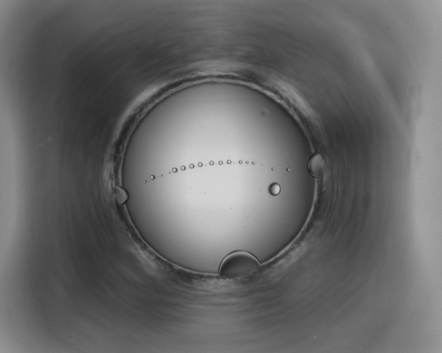 X0000116151164200911231325