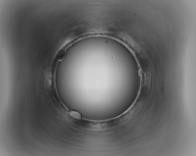 X0000116151165200911231325