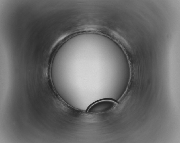 X0000116151166200911231325