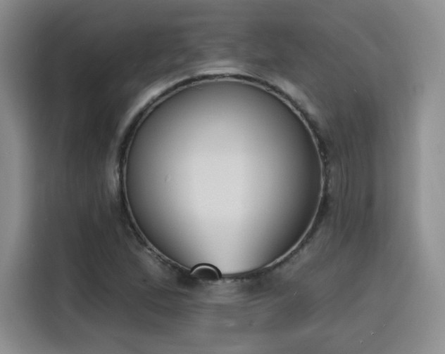 X0000116151167200911231325