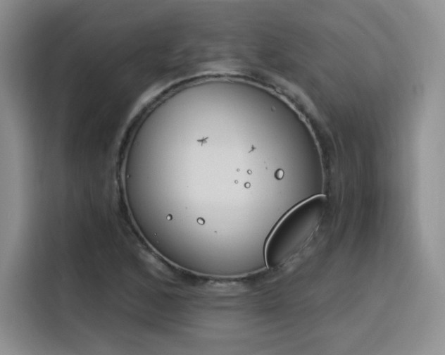 X0000116151168200911231325