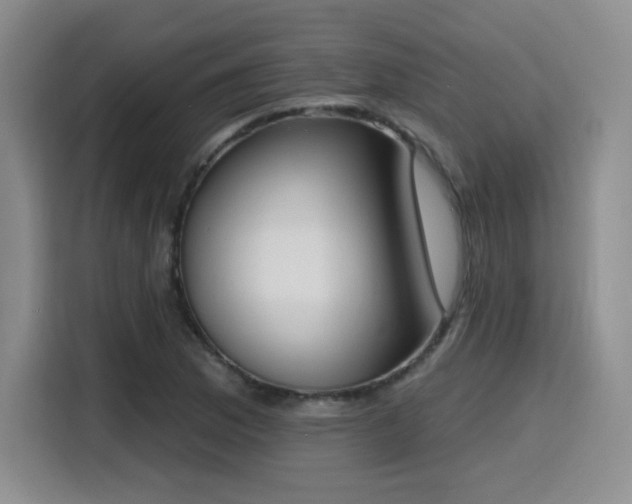 X0000116151169200911231325