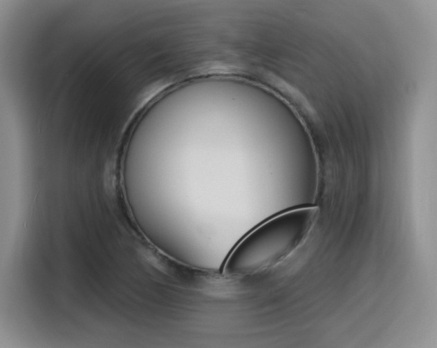 X0000116151170200911231325