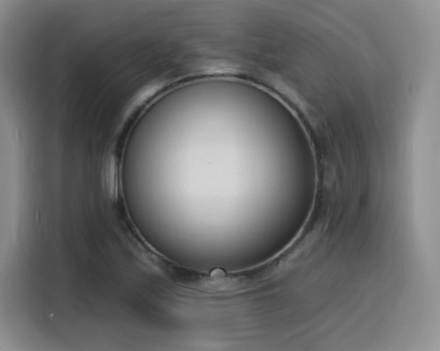 X0000116151171200911231325