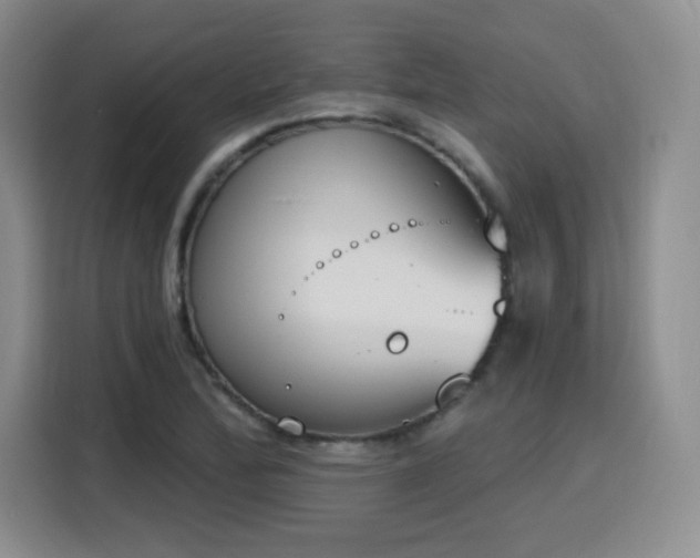 X0000116151172200911231325