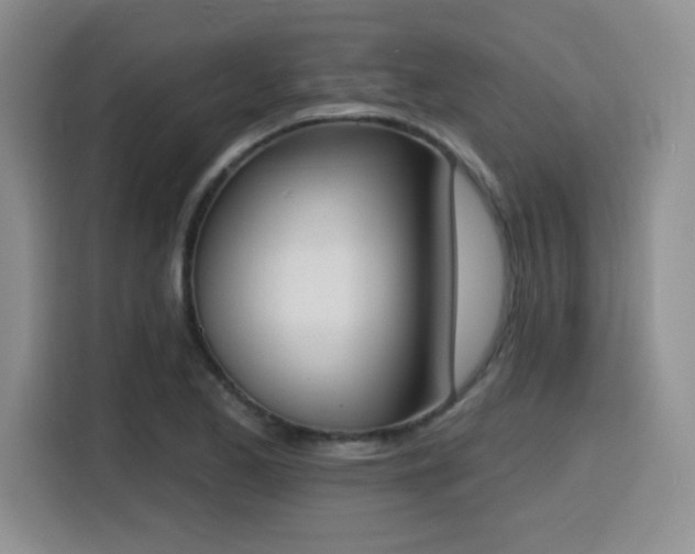 X0000116151173200911231325