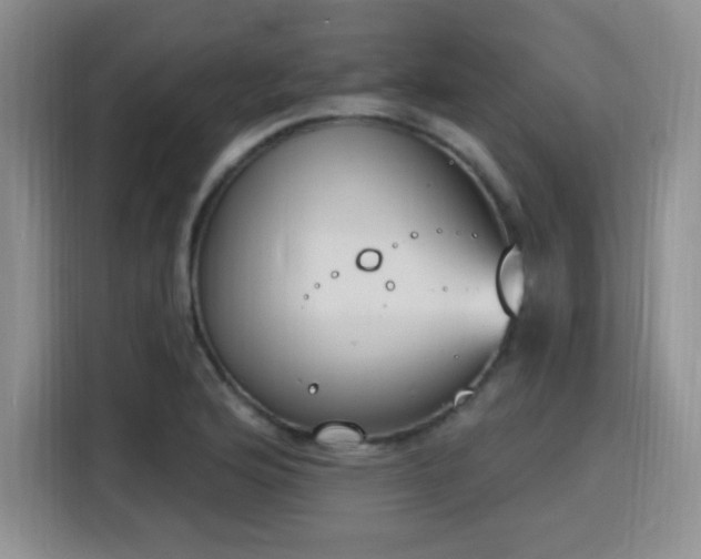 X0000116151176200911231325