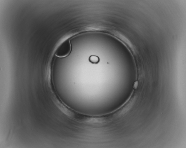 X0000116151179200911231325