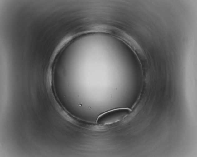 X0000116151180200911231325