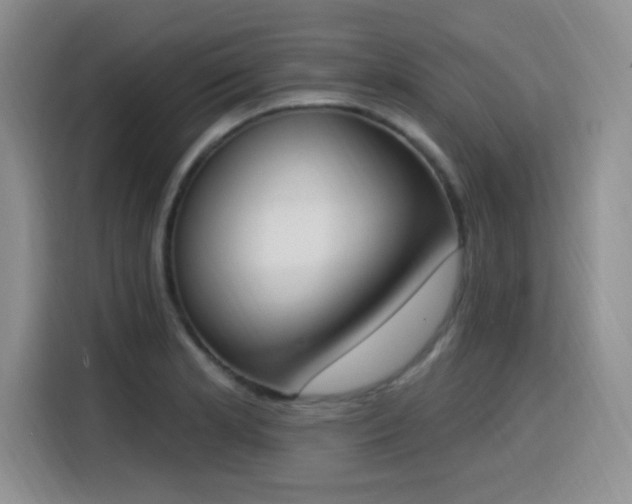 X0000116151181200911231325