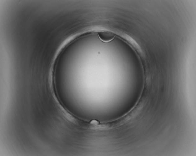 X0000116151183200911231325