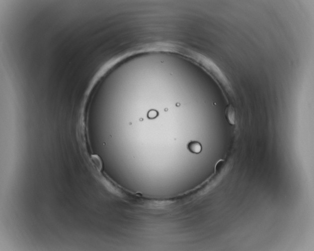 X0000116151184200911231325