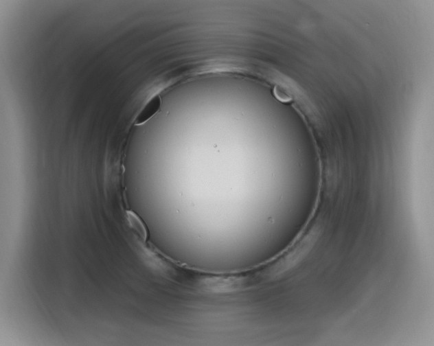 X0000116151185200911231325